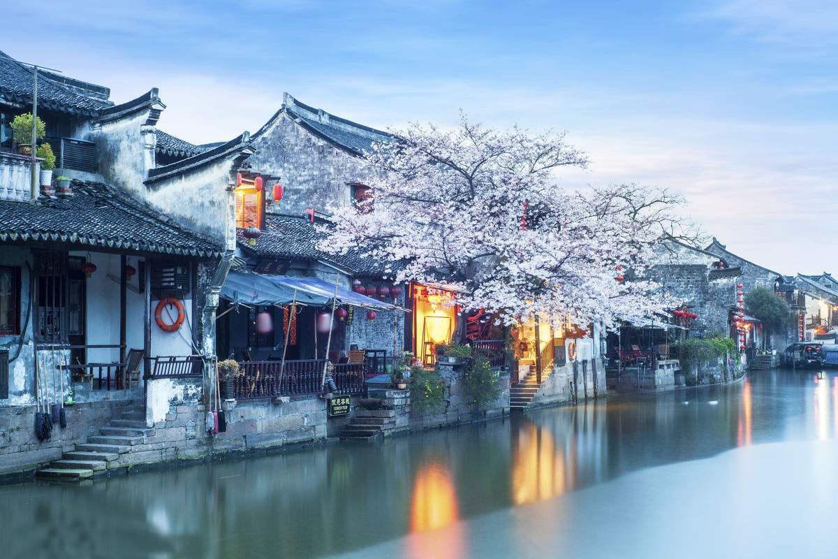 二战时的一只狗熊，跟随军队抽烟喝酒扛炮弹，最终成了英雄